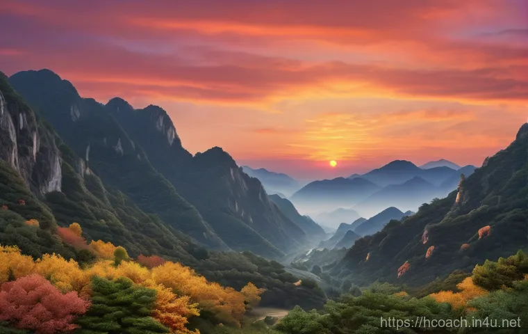 건강코칭 실기 준비 팁 이미지 2 건강코칭 실기 준비 팁 이미지 2